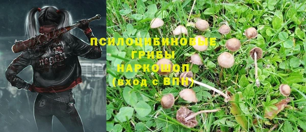 прущая мука Бугульма