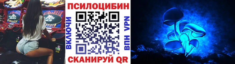 где купить   Сосногорск  Псилоцибиновые грибы Psilocybe 